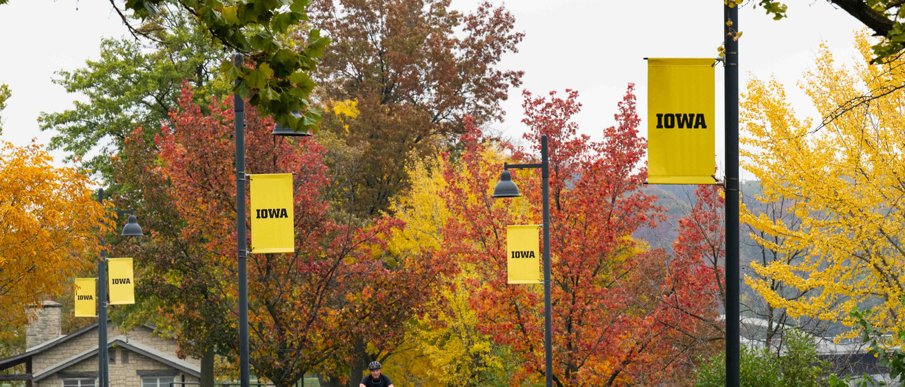 Campus in the fall
