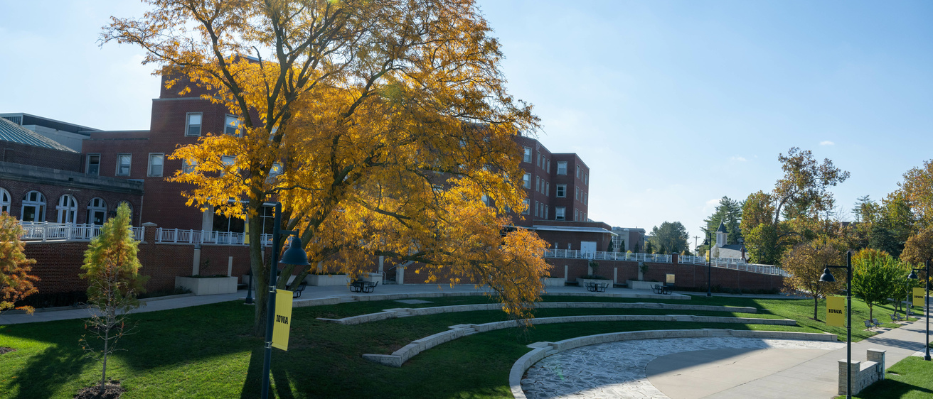 IMU in the Fall
